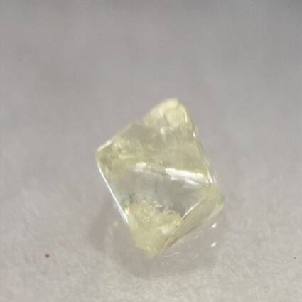 Un-cut Argyle Cape Diamond