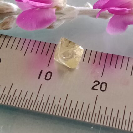 Un-cut Cape Argyle Diamond
